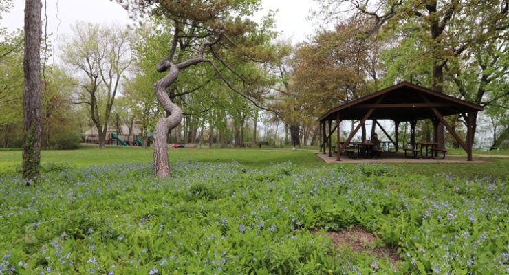 atEvanston.com | Evanston Parks